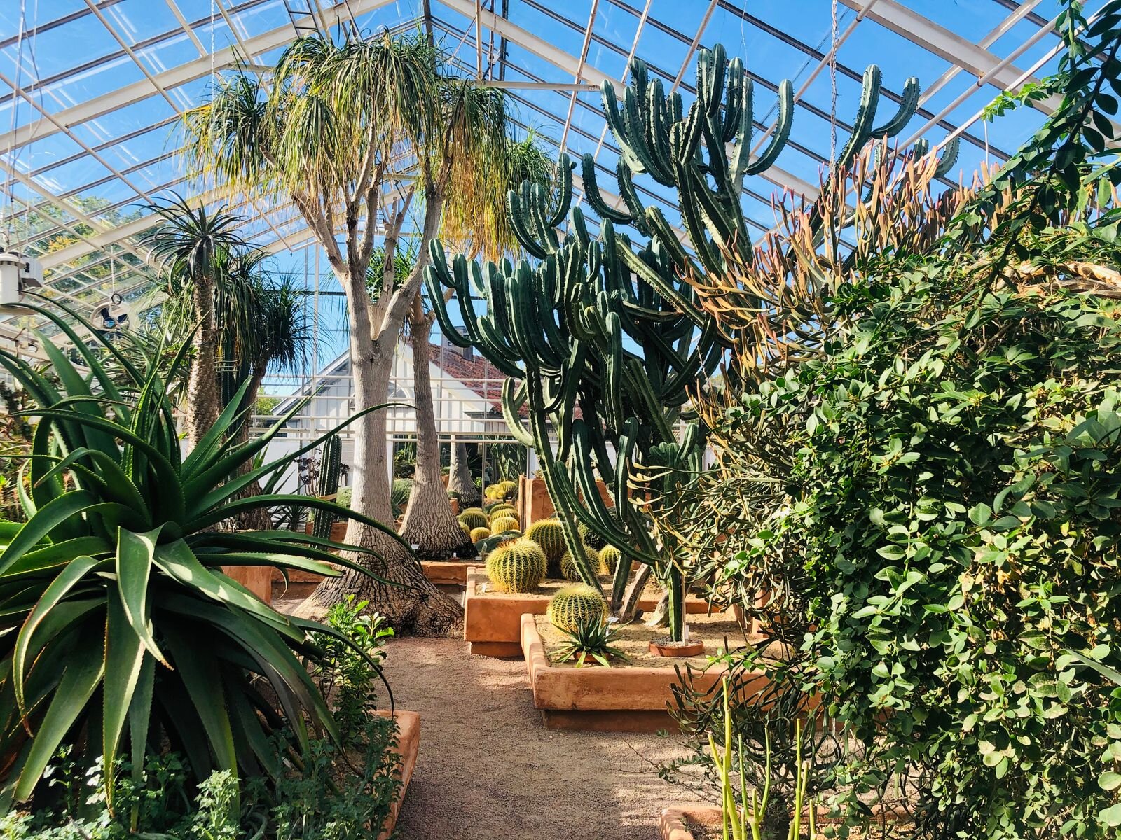 Slottsskogen och Botaniska